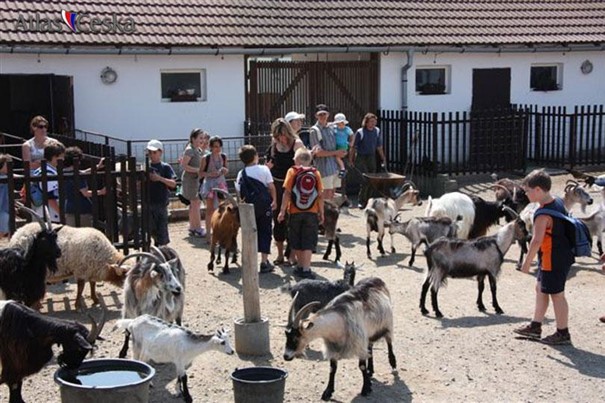 Zoopark Vyškov zmodernizuje expozici vodní drůbeže, přibudou vodní plochy