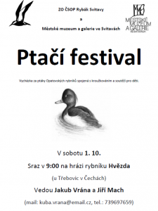 Festival ptactva