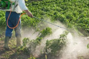 Hnutí Duha: Není jasné, jak klesá využití pesticidu v ČR, chybí dobrá data