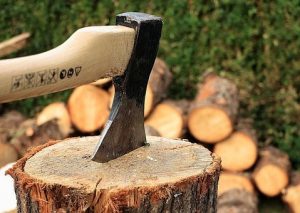 Ústí pokácí na Střekově dalších 21 stromů, kvůli první etapě vznikla petice