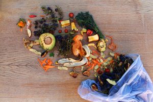 Vědci v Brně zkoumají, jak zlepšit třídění potravinového odpadu na sídlištích