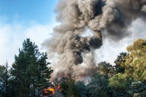 Správa parku Č. Švýcarsko připraví plán zpřístupnění cest zavřených po požáru