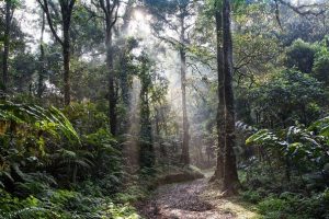 Starostové obcí v národních parcích volají po rozumném přístupu