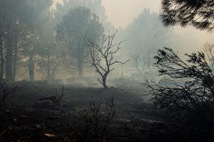 Před dvěma měsíci vypukl v Č. Švýcarsku ničivý požár, správa dál sčítá škody