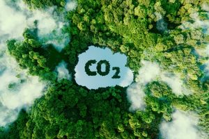 Jak chránit klima, ušetřit a být šťastnější, kampaň Act for Planet