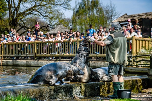 Zoopark Chomutov v prosinci otevře expozici mořských medúz